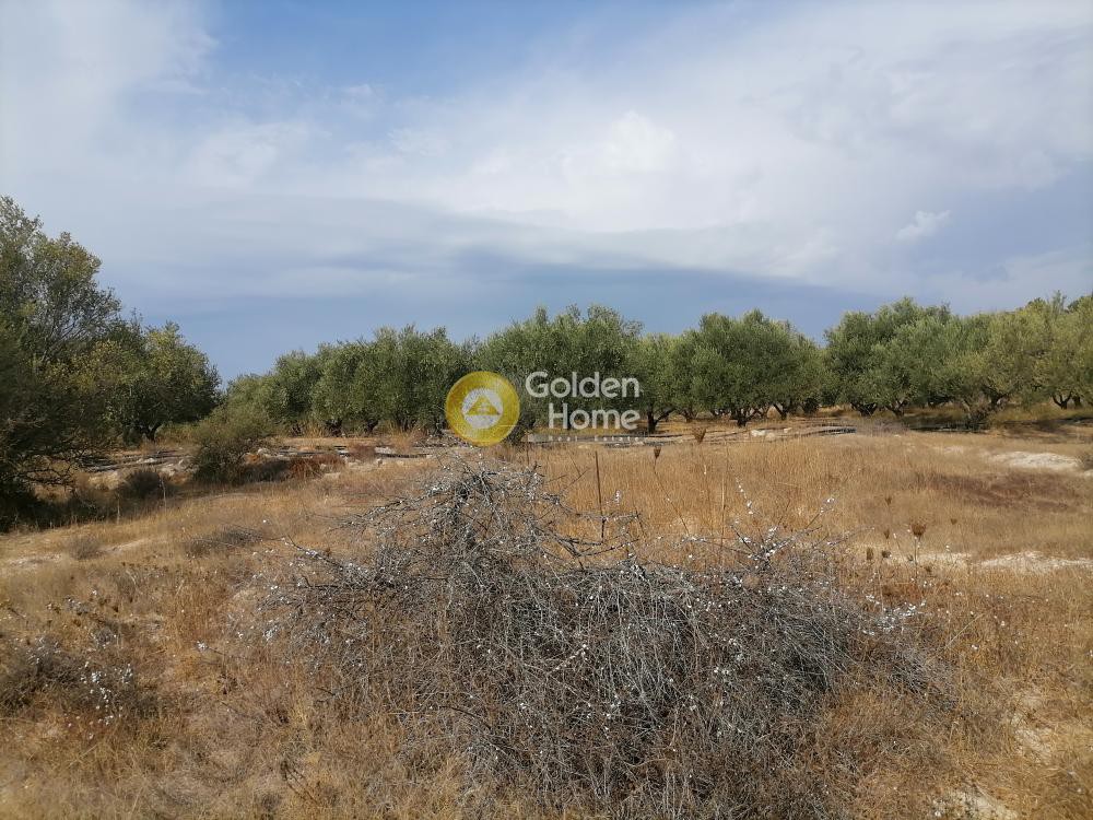 Οικόπεδο 4.606 τ.μ. προς πώληση, Ν. Ηρακλείου, Τυμπάκι