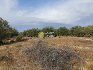 Οικόπεδο 4.606 τ.μ. προς πώληση, Καμηλάρι-thumb-2