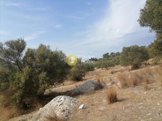 Οικόπεδο 4.606 τ.μ. προς πώληση, Καμηλάρι-thumb-23