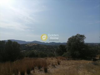 Οικόπεδο 4.606 τ.μ. προς πώληση, Καμηλάρι-thumb-7