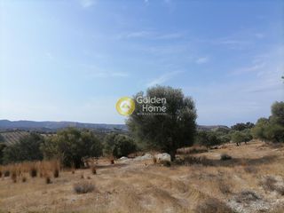 Οικόπεδο 4.606 τ.μ. προς πώληση, Καμηλάρι-thumb-10