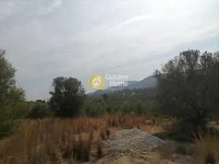 Οικόπεδο 4.606 τ.μ. προς πώληση, Καμηλάρι-thumb-20