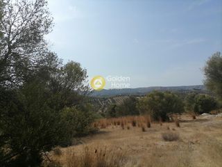 Οικόπεδο 4.606 τ.μ. προς πώληση, Καμηλάρι-thumb-12