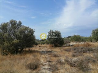 Οικόπεδο 4.606 τ.μ. προς πώληση, Καμηλάρι-thumb-6