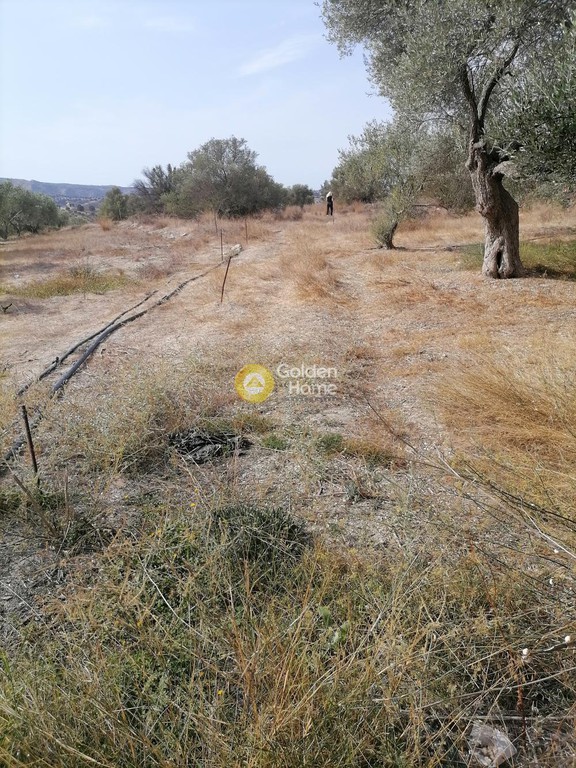 Οικόπεδο 4.606 τ.μ. προς πώληση, Ν. Ηρακλείου, Τυμπάκι