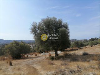 Οικόπεδο 4.606 τ.μ. προς πώληση, Καμηλάρι-thumb-13