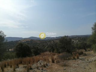 Οικόπεδο 4.606 τ.μ. προς πώληση, Καμηλάρι-thumb-24