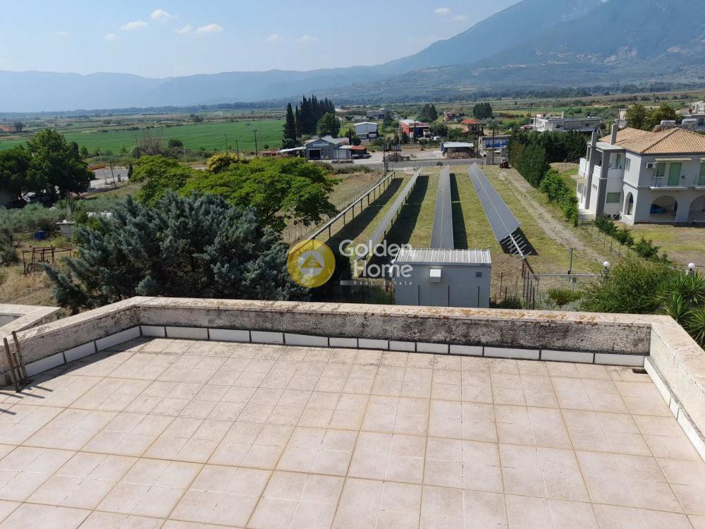 Μονοκατοικία 323 τ.μ. προς πώληση, Φθιώτιδας, Λαμία