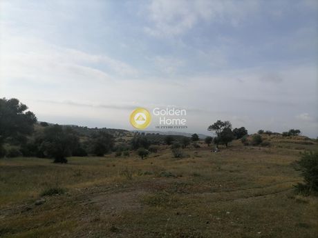 Οικόπεδο 1.340 τ.μ. για πώληση