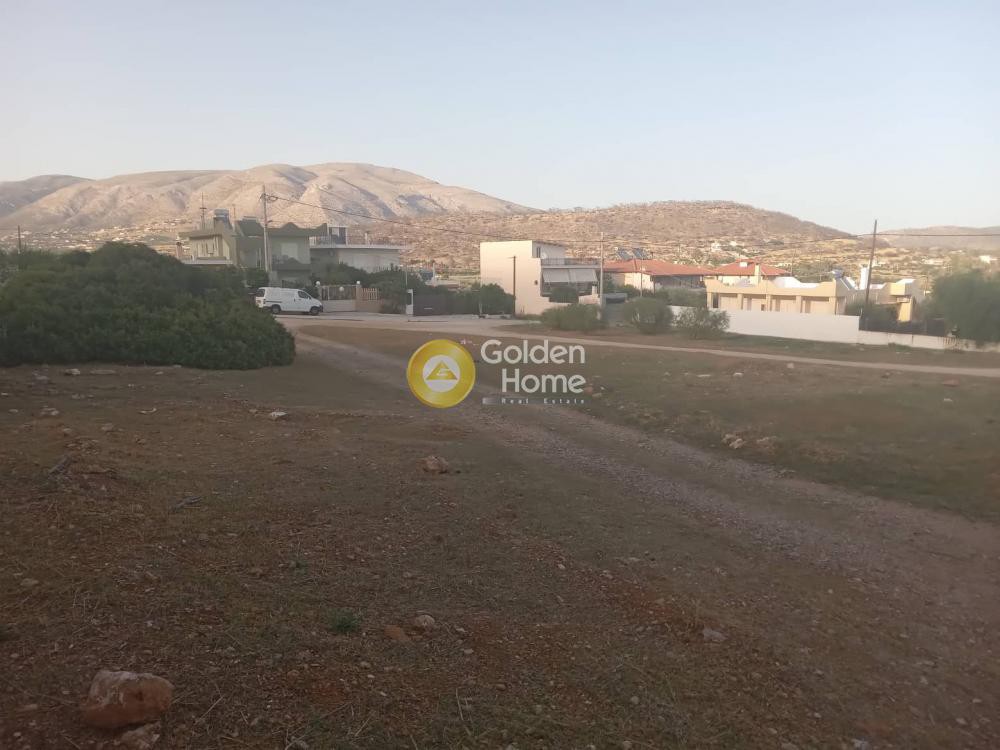 Αγροτεμάχια 2.480 τ.μ. προς πώληση, Αττική - Υπόλοιπο, Κερατέα