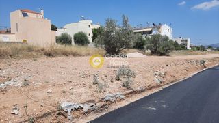 Οικόπεδο 1.300 τ.μ. για πώληση