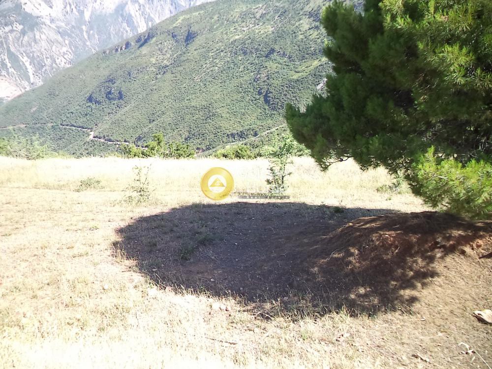 Αγροτεμάχια 4.000 τ.μ. προς πώληση, Αχαΐα, Αίγιο
