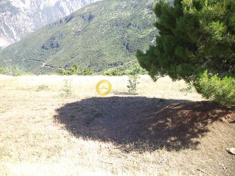 Αγροτεμάχια 4.000 τ.μ. για πώληση