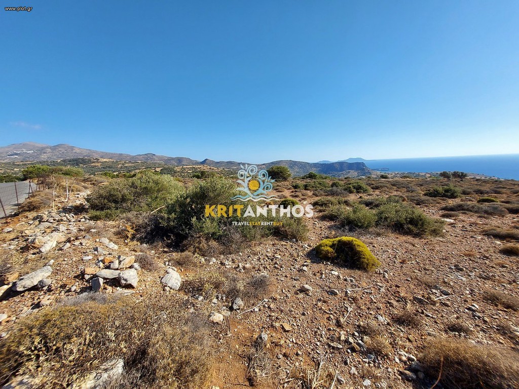Οικόπεδο 31.000 τ.μ. πρός πώληση, Ν. Ρεθύμνου, Λάμπη