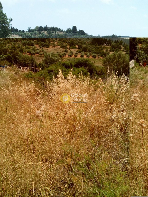 Αγροτεμάχια 291 τ.μ. προς πώληση, Αττική - Υπόλοιπο, Ραφήνα