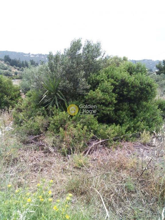 Αγροτεμάχια 291 τ.μ. προς πώληση, Αττική - Υπόλοιπο, Ραφήνα