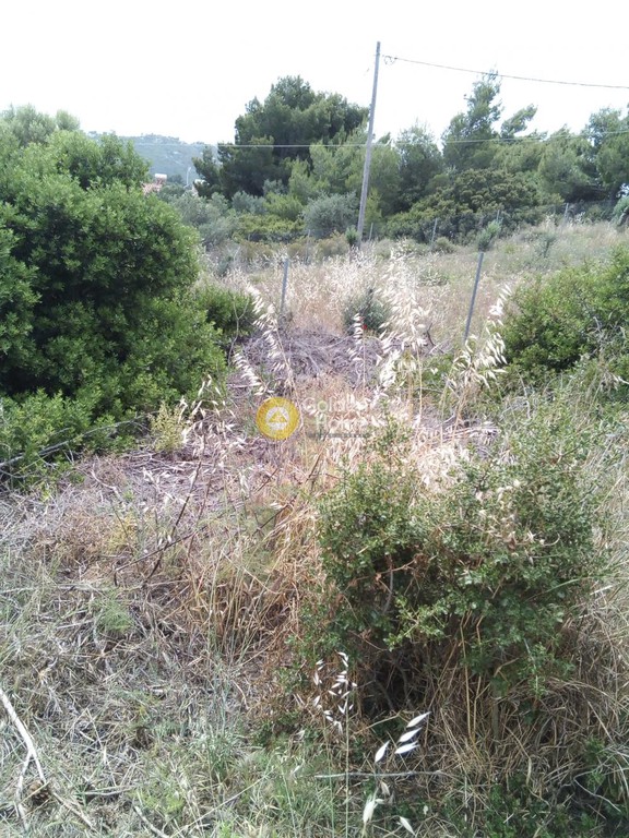 Αγροτεμάχια 291 τ.μ. προς πώληση, Αττική - Υπόλοιπο, Ραφήνα