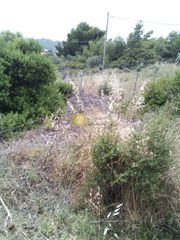 Αγροτεμάχια 291 τ.μ. για πώληση