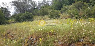 Αγροτεμάχια 7.597 τ.μ. για πώληση, Ν. Λευκάδας, Λευκάδα-thumb-6