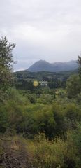 Αγροτεμάχια 7.597 τ.μ. για πώληση, Ν. Λευκάδας, Λευκάδα-thumb-3