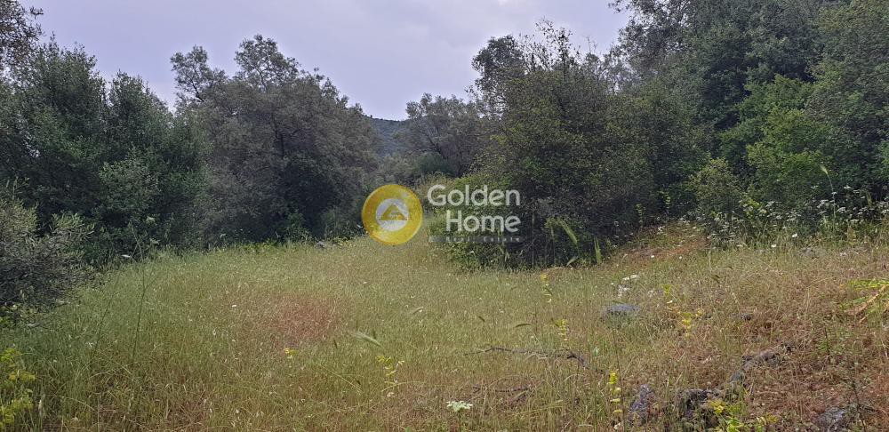 Αγροτεμάχια 7.597 τ.μ. προς πώληση, Ν. Λευκάδας, Λευκάδα