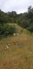 Αγροτεμάχια 7.597 τ.μ. για πώληση, Ν. Λευκάδας, Λευκάδα-thumb-5