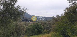 Αγροτεμάχια 7.597 τ.μ. για πώληση, Ν. Λευκάδας, Λευκάδα-thumb-8