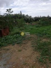 Αγροτεμάχια 480 τ.μ. για πώληση