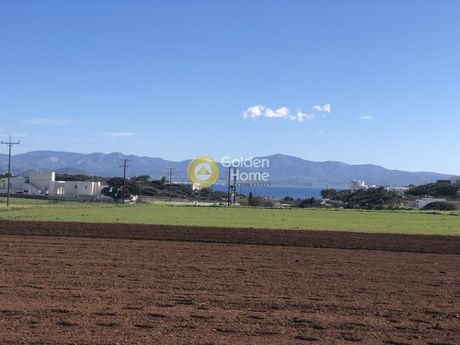 Αγροτεμάχια 5.798τ.μ. για πώληση-Πάρος » Ιστέρνι