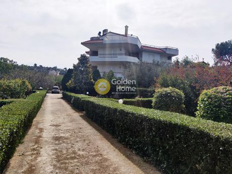 Κτίριο 520τ.μ. για πώληση-Κορωπί » Άγιος δημήτριος