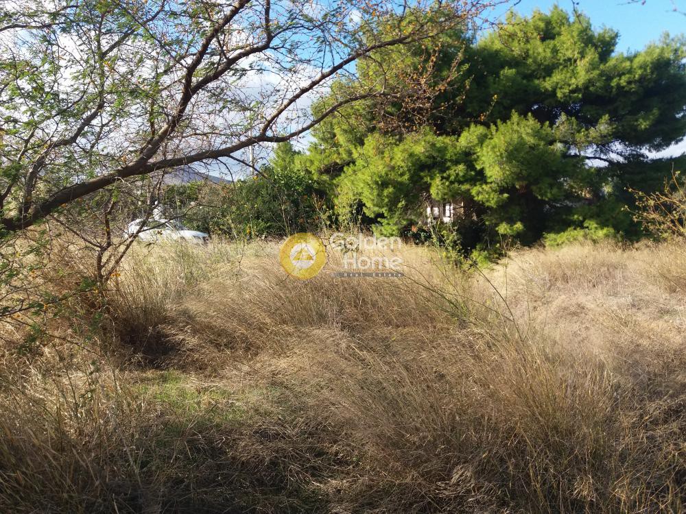 Οικόπεδο 1.012 τ.μ. πρός πώληση, Εύβοια, Κάρυστος