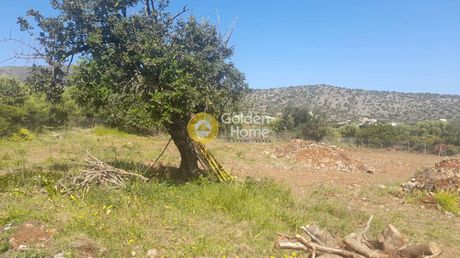 Οικόπεδο 2.000τ.μ. για πώληση-Μάλλια » Σταλίδα
