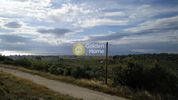 Land plot 11.000sqm for sale-Aegina » Livadi