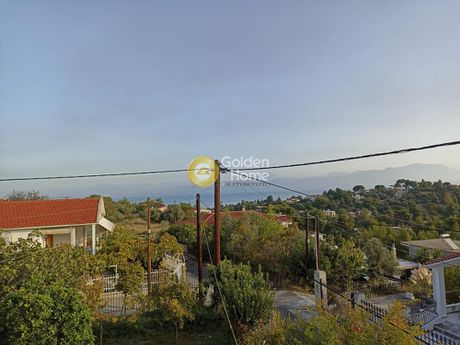 Διαμέρισμα 162τ.μ. για πώληση-Οινόφυτα » Δήλεσι