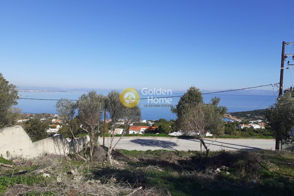 Αγροτεμάχια 1.236 τ.μ. προς πώληση, Χαμολιά