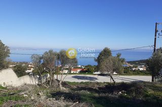 Αγροτεμάχια 1.236 τ.μ. για πώληση