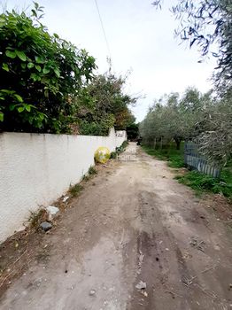 Αποθήκη 440 τ.μ. για πώληση