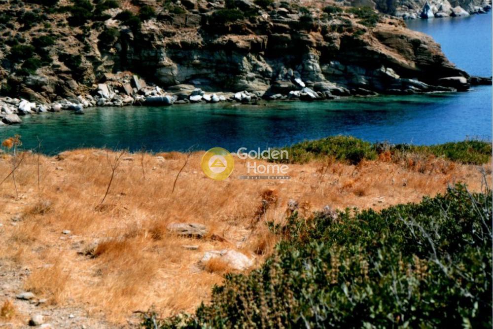 Αγροτεμάχια 22.000 τ.μ. προς πώληση, Ψάθη Ίου