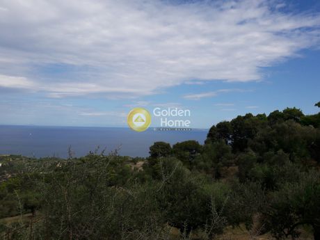 Αγροτεμάχια 21.779 τ.μ. για πώληση