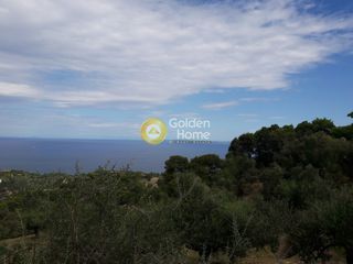 Αγροτεμάχια 21.779 τ.μ. για πώληση