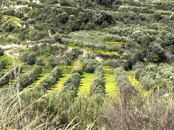 Αγροτεμάχια 8.000 τ.μ. για πώληση, Ν. Ηρακλείου, Γάζι