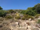 Land plot 321sqm for sale-Markopoulo » Porto Rafti