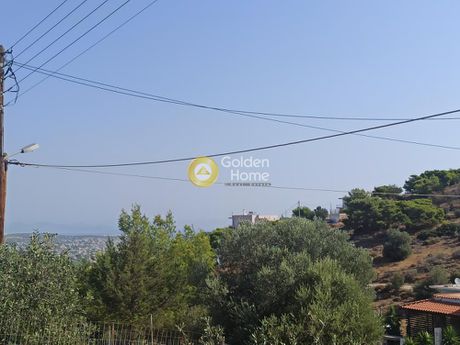 Αγροτεμάχια 385 τ.μ. για πώληση