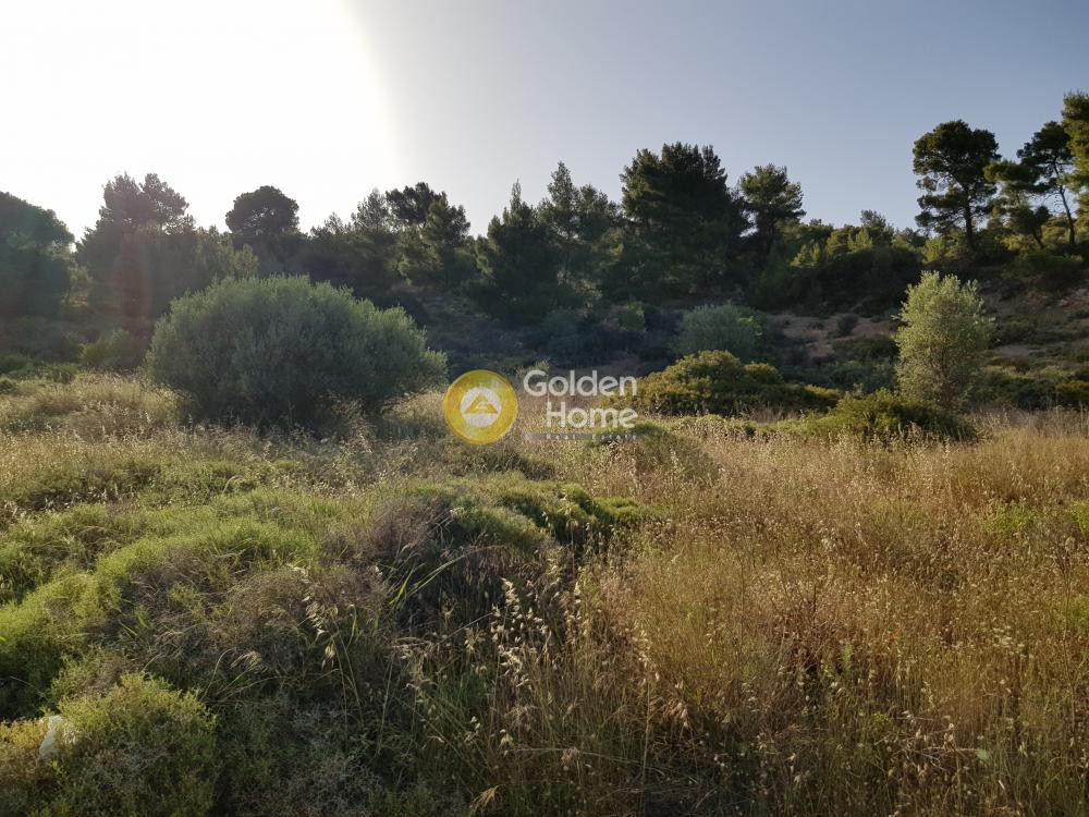 Parcel 5.504 sqm for sale, Moni Metamorfosis Sotira