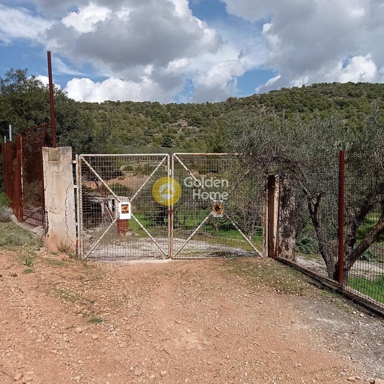Αγροτεμάχια 7.000 τ.μ. πρός πώληση, Αθήνα - Ανατολικά Προάστια, Αρτέμιδα (λούτσα)
