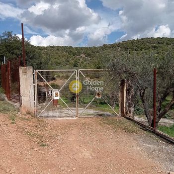 Αγροτεμάχια 7.000τ.μ. για πώληση-Αρτέμιδα (λούτσα) » Βραυρώνα