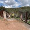 Parcel 7.000sqm for sale-Artemida (Loutsa) » Vravrona