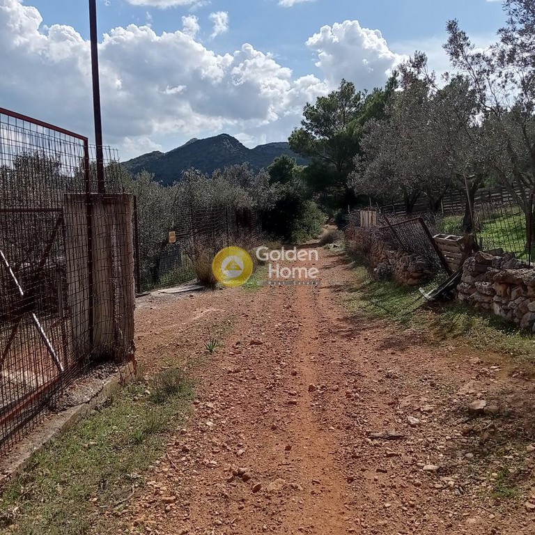 Αγροτεμάχια 7.000 τ.μ. πρός πώληση, Αθήνα - Ανατολικά Προάστια, Αρτέμιδα (λούτσα)