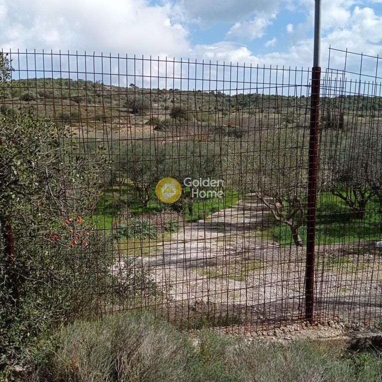Αγροτεμάχια 7.000 τ.μ. πρός πώληση, Αθήνα - Ανατολικά Προάστια, Αρτέμιδα (λούτσα)