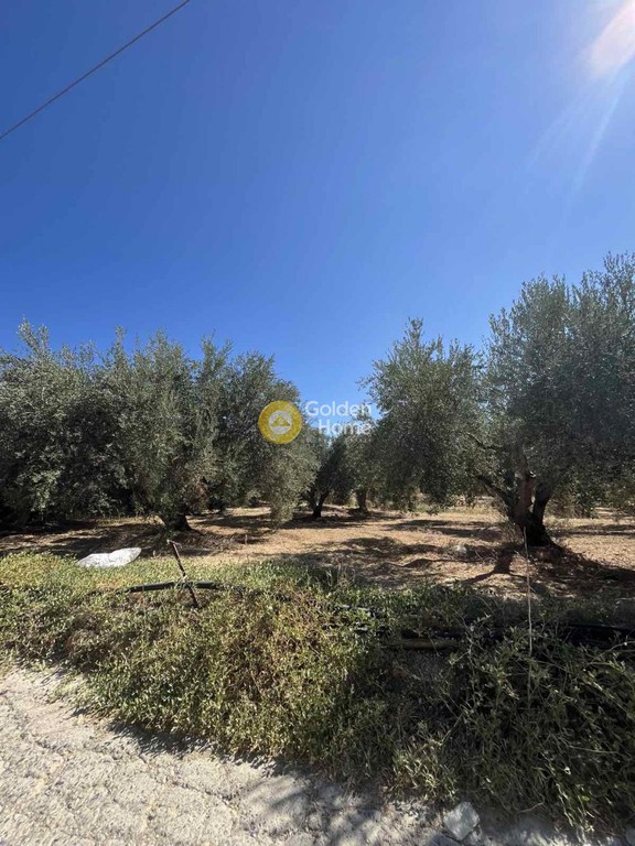Οικόπεδο 667 τ.μ. πρός πώληση, Ν. Ηρακλείου, Γάζι